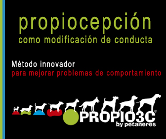 Barcelona: Petaneres Propiocepción - Método innovador para mejorar problemas de comportamiento