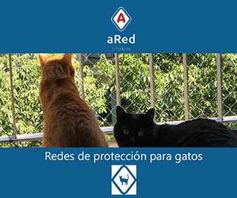 aRed Studio - Redes de protección para gatos